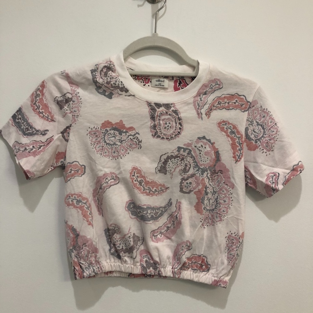 Aritzia Crop Top